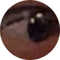Ng Wei Zheng Avatar
